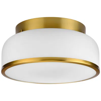 Progress Lighting Parkhurst Collection Two-light 11-1/4" Flush Mount Light