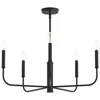 Progress Lighting Reines Five-light Medium  Chandelier