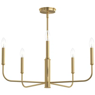 Progress Lighting Reines Five-light Medium  Chandelier