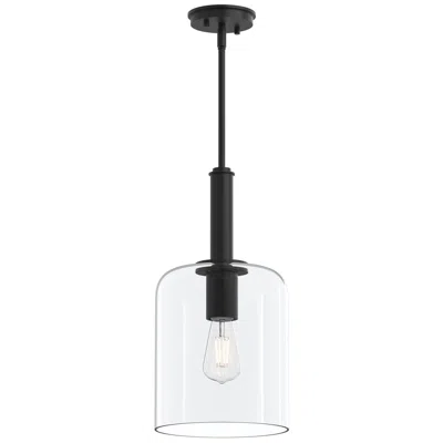 Progress Lighting Reines One-light Pendant With Clear Glass Shade