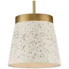 Progress Lighting Terrazzo Collection One-light Hanging Pendant Light