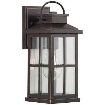 Progress Lighting Williamston Collection One-light Clear Glass Medium Outdoor Wall Lantern