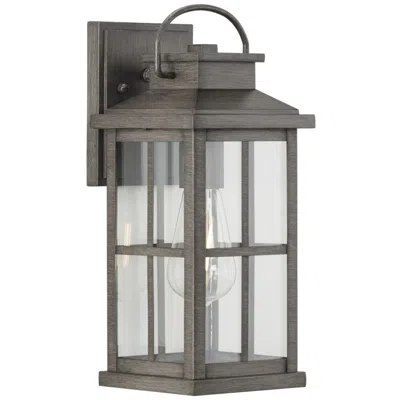 Progress Lighting Williamston Collection One-light Clear Glass Medium Outdoor Wall Lantern In Black