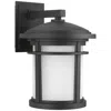 Progress Lighting Wish Collection One-light Medium Wall Lantern