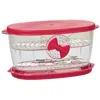 Progressive International Progressive Berry Keeper - Produce Saver Container With Adjustable Vent, Colander Tray & Lid For Str