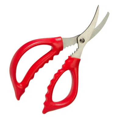 Progressive International Progressive Seafood Scissors - Shellfish Shears With Curved Stainless Steel Blades And Soft Grip Han In Red