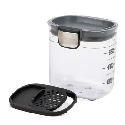 Progressive International Prokeeper+ Airtight Mini Storage Container, Clear Plastic