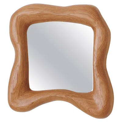 Pre-owned Project 213a Minho Mirror In Brown