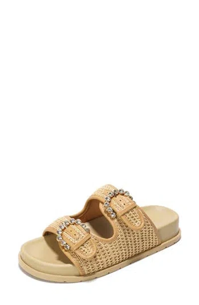 Project Cloud Elora Slide Sandal In Brown