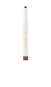 Project Lip Lip Plump And Fill Up Liner In Beauty: Na
