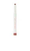 Project Lip Plump And Fill Up Liner In Beauty: Na