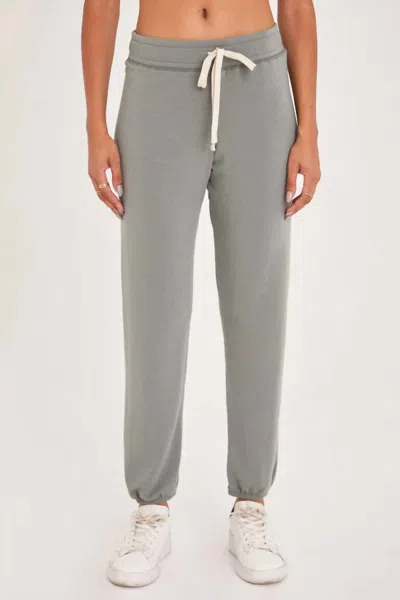 Project Social T Champlain Long Pant In Dried Sage In Grey