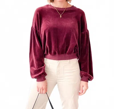 Project Social T Jewel Velour Sweatshirt In Burgundy