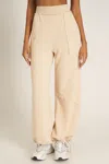 Project Social T Mystic Parachute Terry Jogger Pant In Neutral