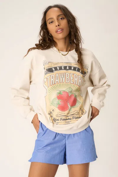 Project Social T Strawberries Oversized Sweatshirt In Multi
