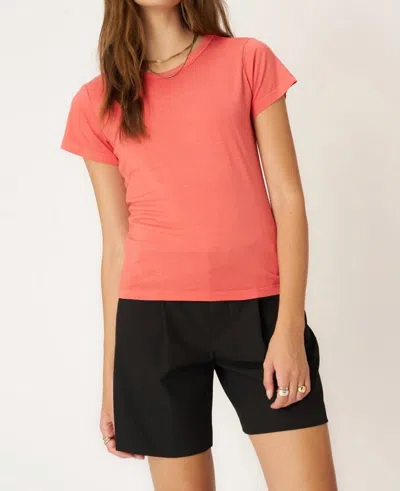 Project Social T You Got It Washed Baby Tee In Sunset Coral In Pink