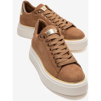Prologue Shoes Borena Platform Sneaker In Brown