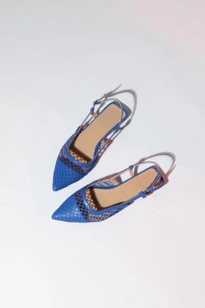 Prologue Shoes Brace Blue Mesh Flat Sandal