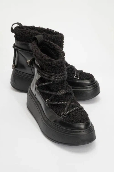 Prologue Shoes Dila Fur Lined Boot In Black