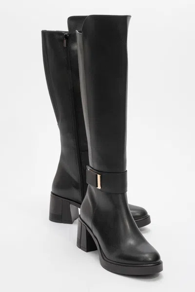 Prologue Shoes Moreni Stretch Buckle Block Heel Knee High Boot In Black