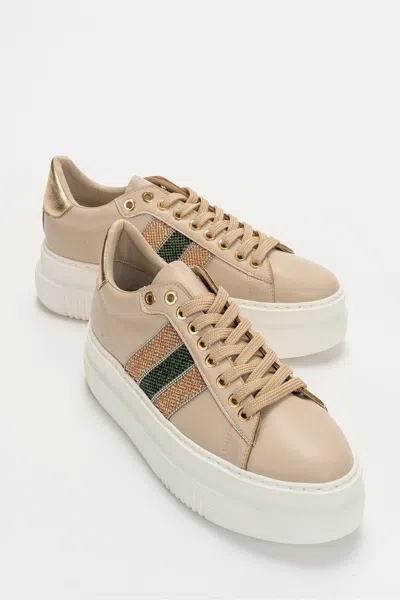 Prologue Shoes Nuno Sneakers In Multi