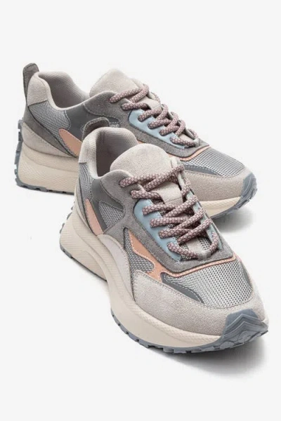 Prologue Shoes Premia Sneaker In Multi