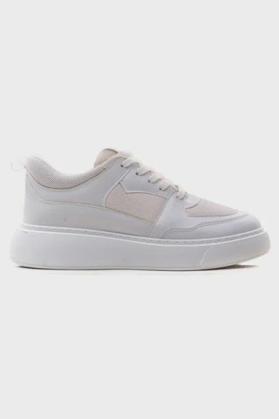 Prologue Shoes Pure Mesh Sneakers In Gray