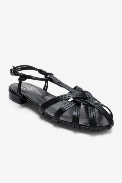 Prologue Shoes Rosse Block Heel Sandal In Black