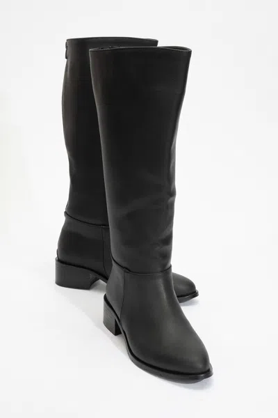 Prologue Shoes Svetlo Back Zip Knee High Boot (women) In Black