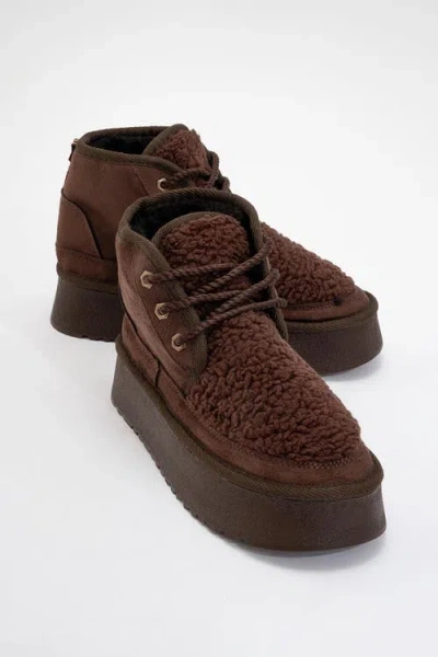 Prologue Shoes Tyson Lace Up Boot In Brown