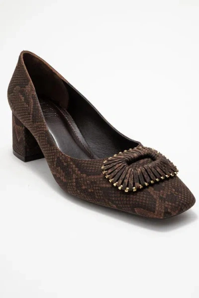 Prologue Shoes Velora Buckle Square Toe Block Heel Pump In Brown