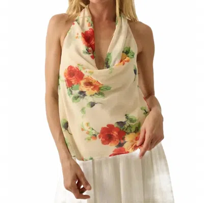 Promesa Floral Chiffon Cowl Neck Halter Top In Cream In White