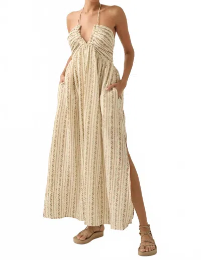 Promesa Trellis Blossoms Floral Gauze Halter Maxi Dress In Cream In Neutral