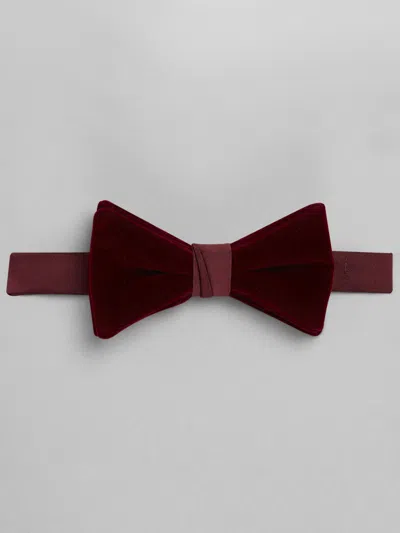 Pronto Uomo Pre-tied Velvet Bow Tie Purple