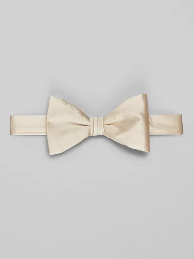 Pronto Uomo Solid Pre-tied Bow Tie In Gold