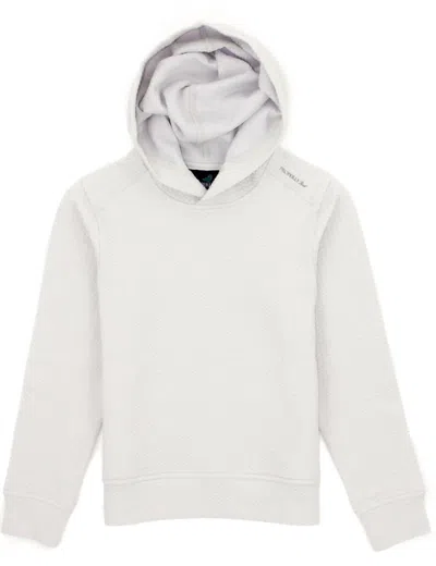 Properly Tied Kids' Boy's Palmetto Hoodie In Ice Grey In White