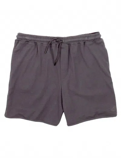 Properly Tied Men's Cabin Shorts In Mudstone In Gray