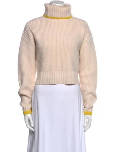 Pre-owned Protagonist Virgin Wool Turtleneck Sweater In Neutral