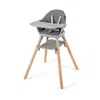 Proxxi 6 In 1 Convertible Highchair With Safety Harness And Removable Tray In Gray