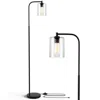Proxxi Industrial Floor Lamp With Glass Shade-black