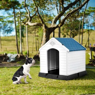 Proxxi Plastic Waterproof Ventilate Pet Puppy House In Blue