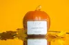 Proxxi Pumpkin Spice Wax Melts In Multi