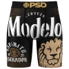 Psd Mens  Modelo Time Underwear In Brown