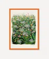 Pstr Studio Dandelion Firework Robert M'llard Framed Print