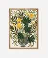 Pstr Studio Yellow Carnations La Poire Framed Print