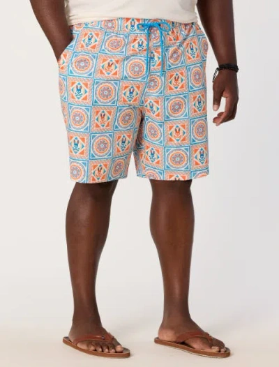 Psycho Bunny Big & Tall Frank Swim Trunks In Multi