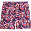 Psycho Bunny Kids' Florian Swim Trunks In Pattern