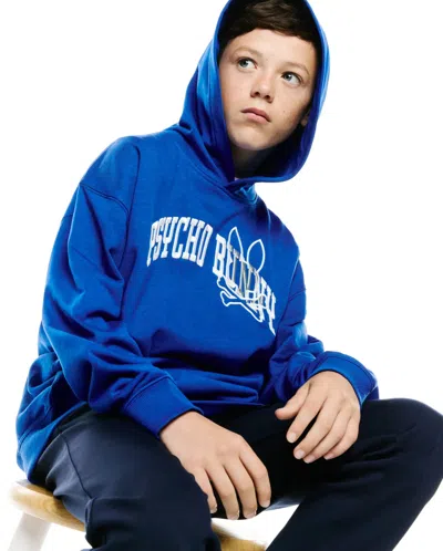 Psycho Bunny Kids Nathaniel Relaxed Hoodie In 408 Surf The Web