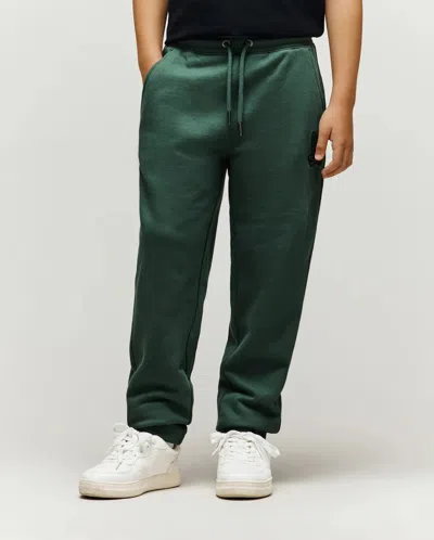 Psycho Bunny Kids Tate Chenille Sweatpant In Burgundy