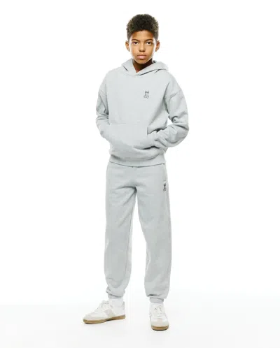 Psycho Bunny Kids' Terrence Fleece Joggers In Gray